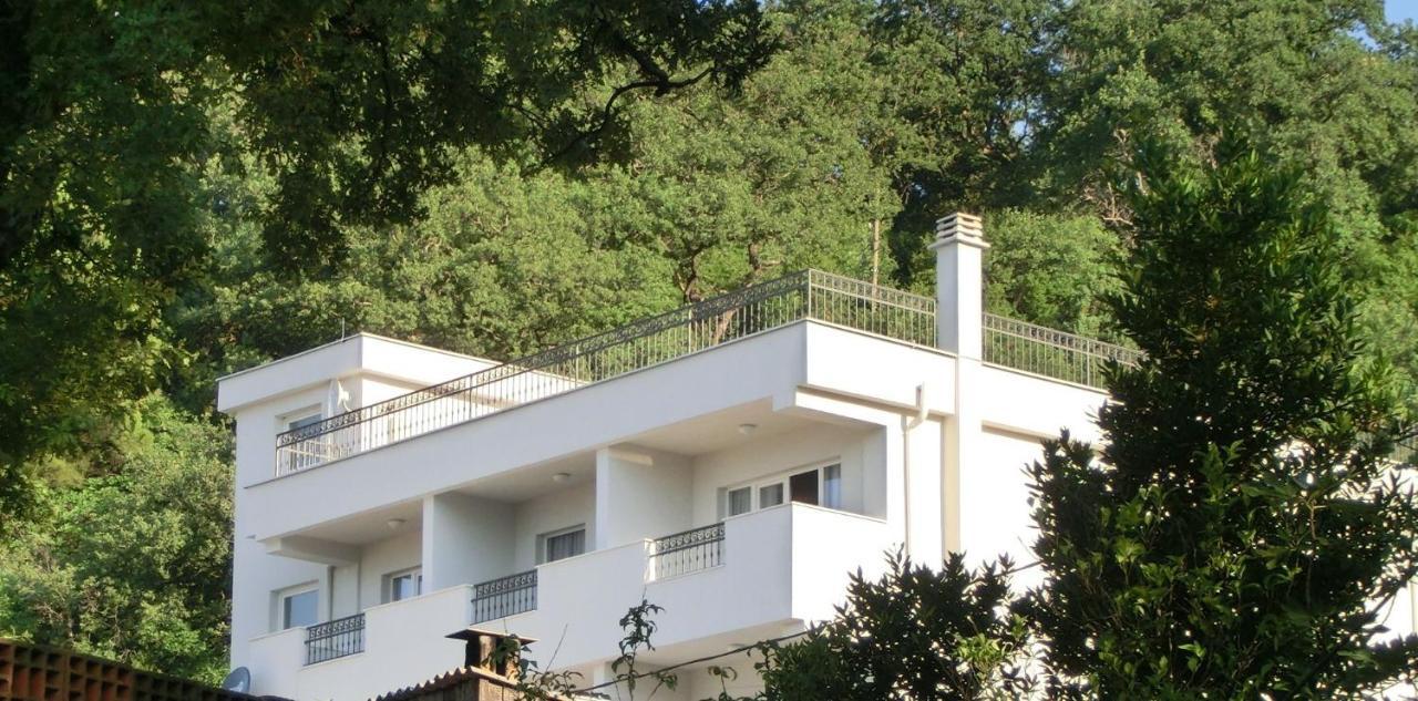 Villa Slovenika Budva Extérieur photo